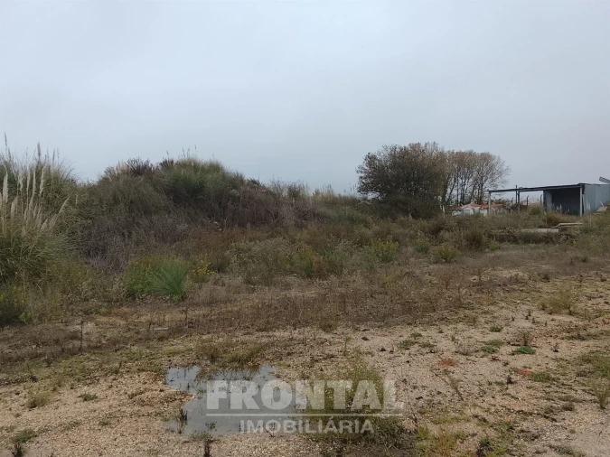 Terreno Comércio / Armazém para Venda em Perafita, Lavra e Santa Cruz do Bispo Foto 15