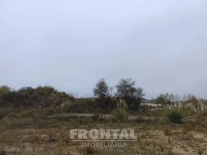 Terreno Comércio / Armazém para Venda em Perafita, Lavra e Santa Cruz do Bispo Foto 19