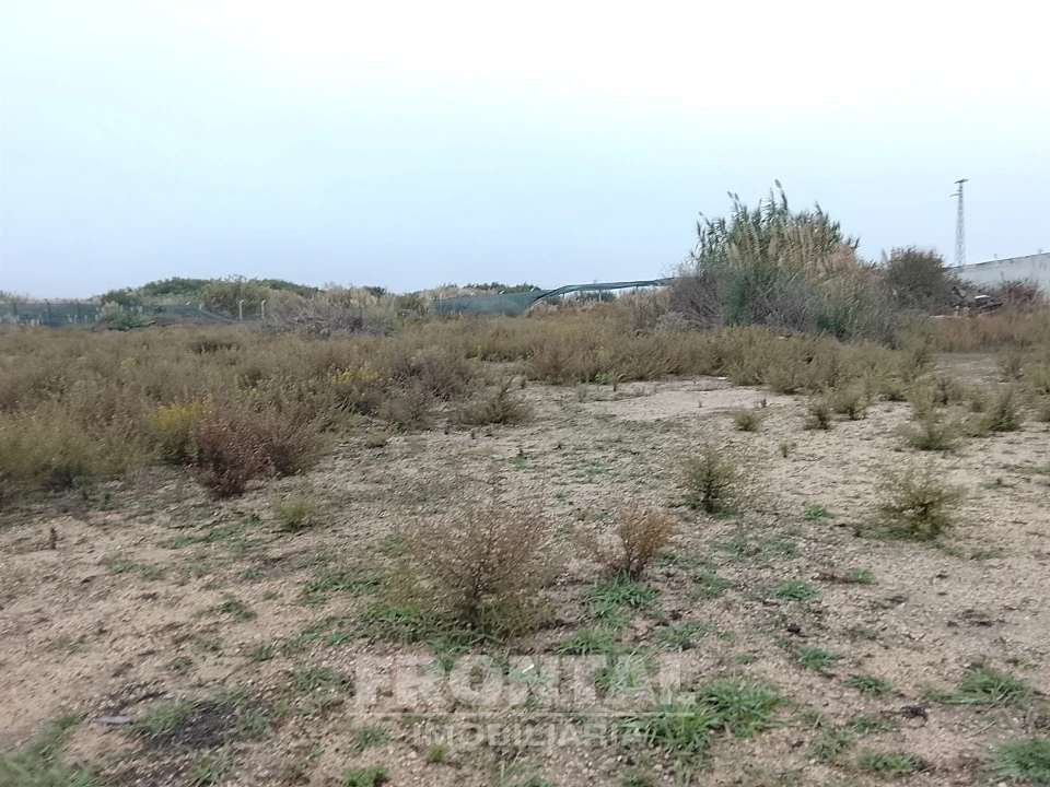 Terreno Comércio / Armazém para Venda em Perafita, Lavra e Santa Cruz do Bispo Foto 10