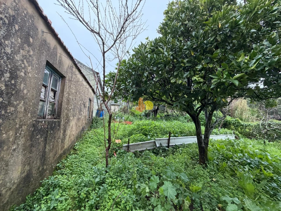 Moradia T3 para Venda em Tavarede Foto 4