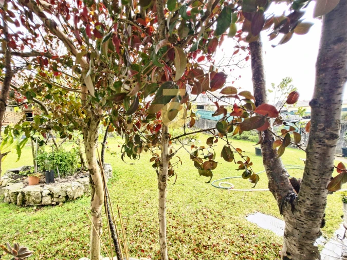 Moradia T3 para Venda em Escapães Foto 34