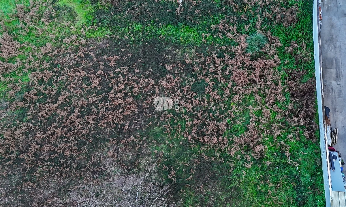 Terreno para Venda em Gondifelos, Cavalões e Outiz Foto 5