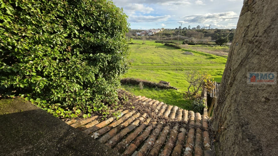 Moradia T2 para Venda em Idanha-A-Nova e Alcafozes Foto 15