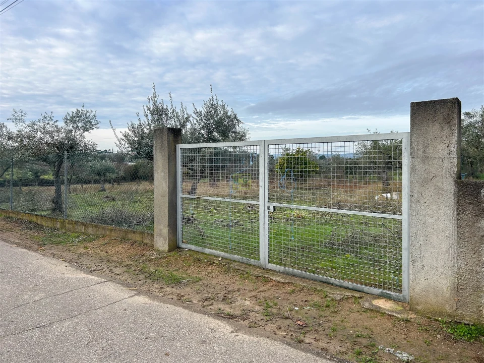 Terreno Agricola ou Rústico para Venda em Ladoeiro Foto 23