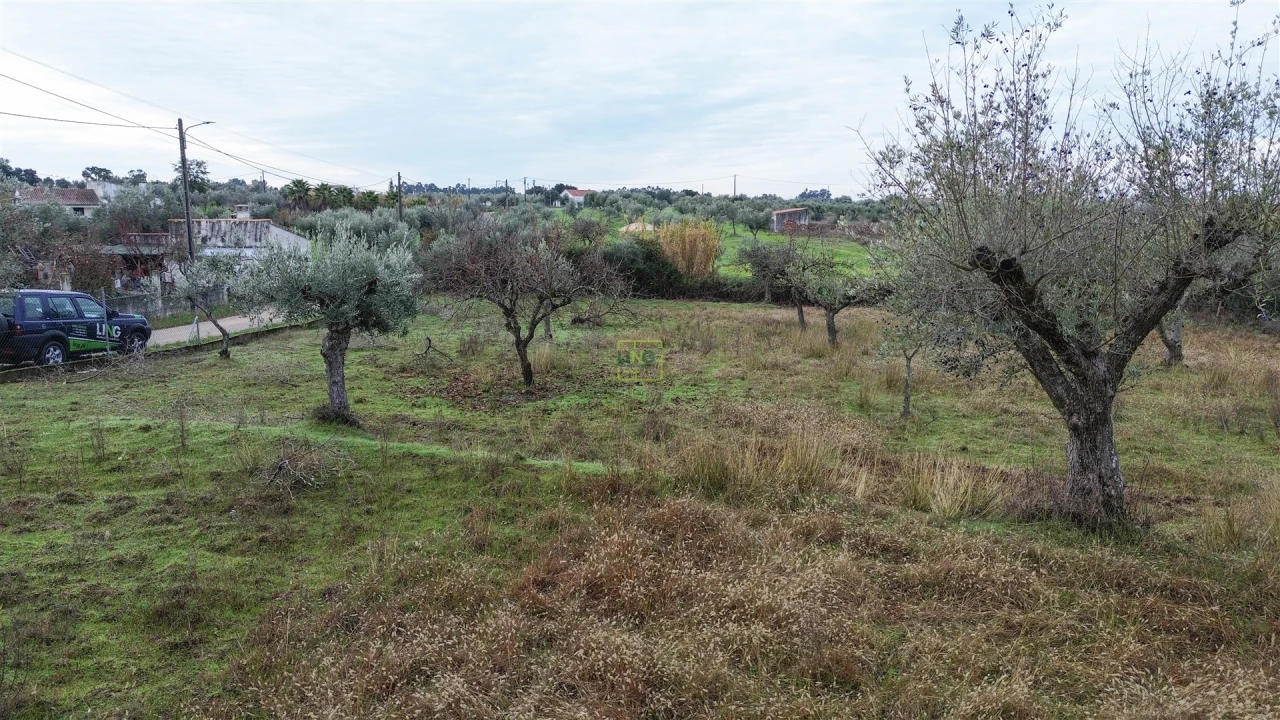 Terreno Agricola ou Rústico para Venda em Ladoeiro Foto 12