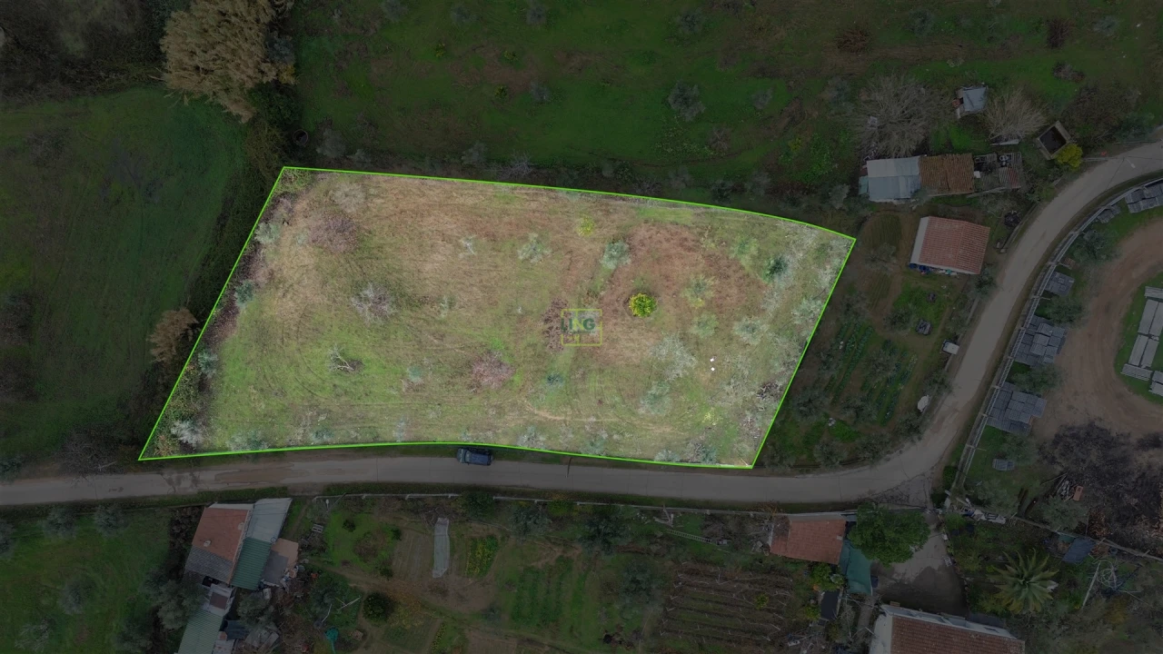 Terreno Agricola ou Rústico para Venda em Ladoeiro Foto 3