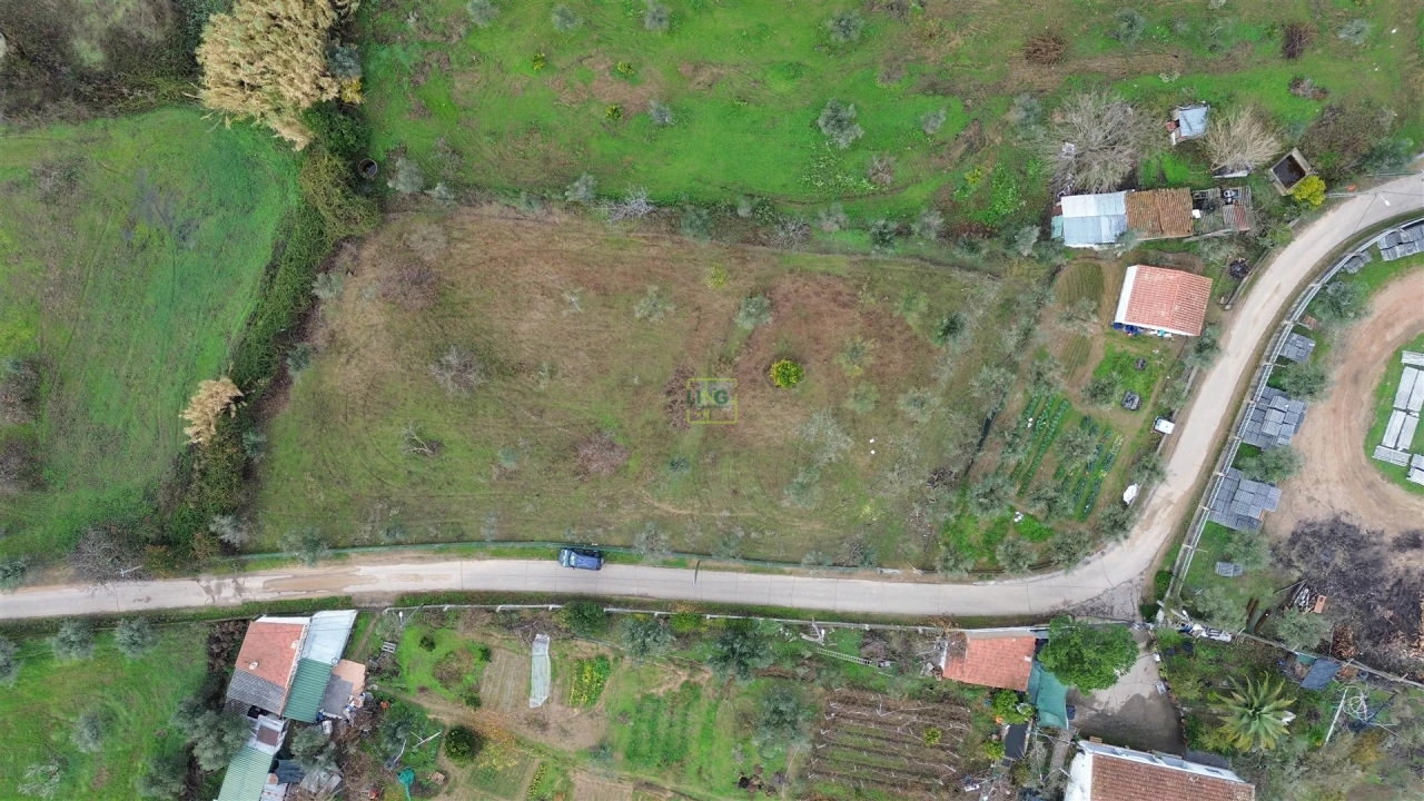 Terreno Agricola ou Rústico para Venda em Ladoeiro Foto 2