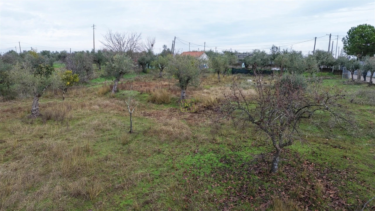 Terreno Agricola ou Rústico para Venda em Ladoeiro Foto 17