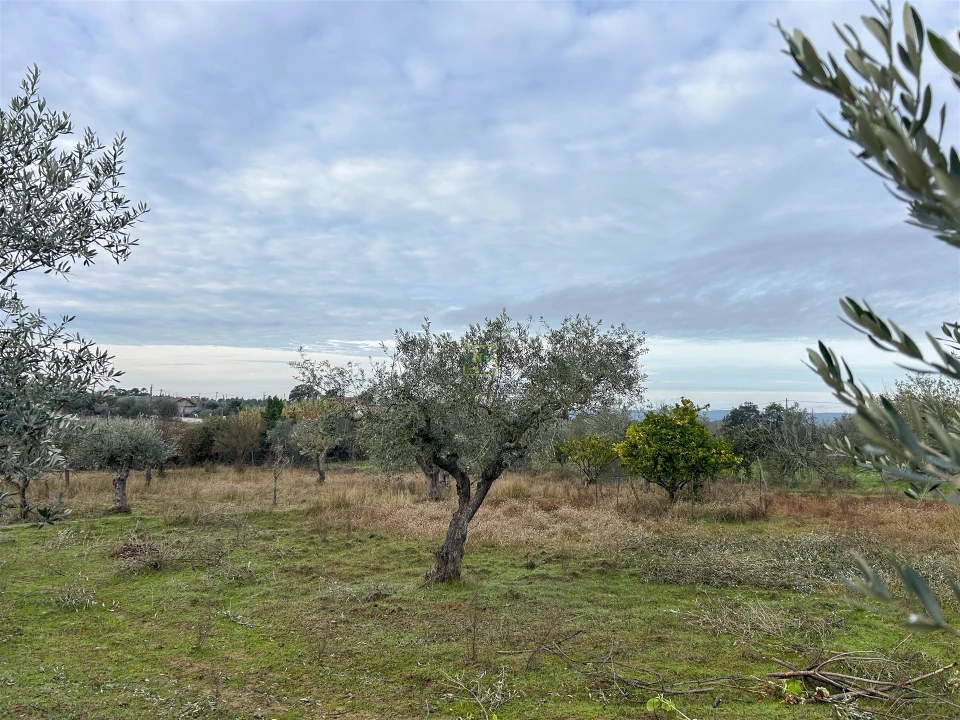 Terreno Agricola ou Rústico para Venda em Ladoeiro Foto 26