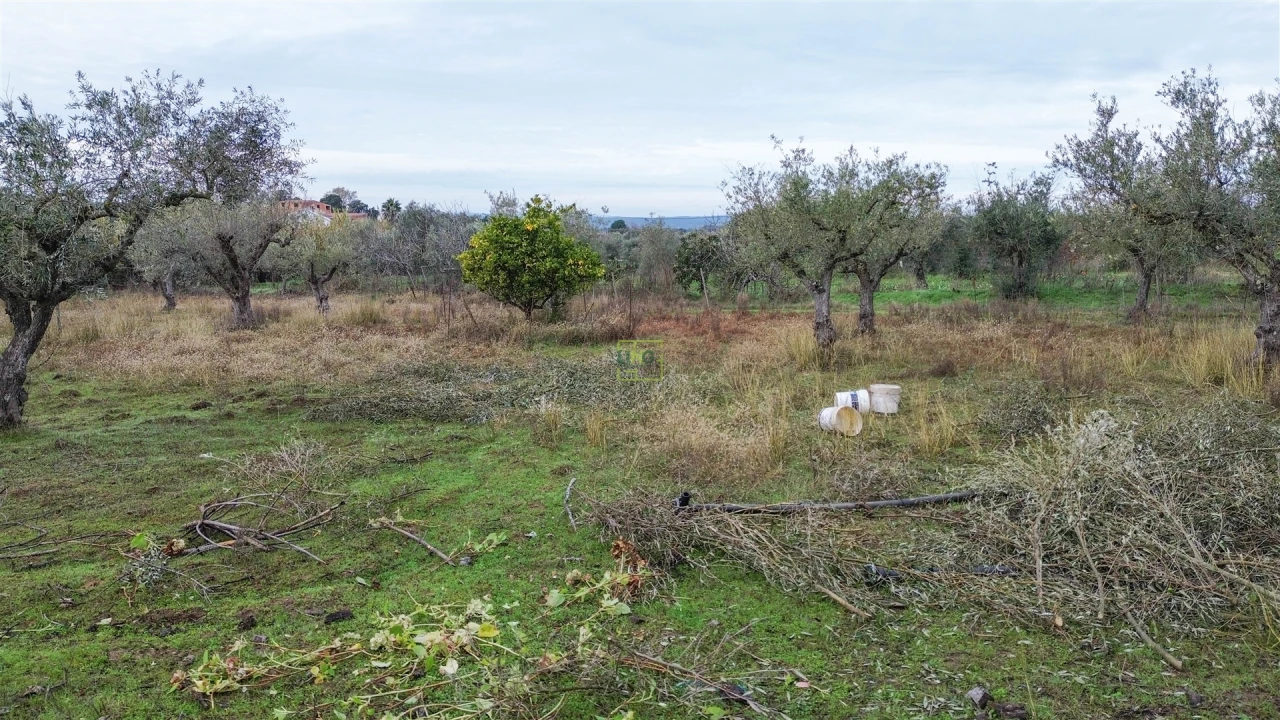 Terreno Agricola ou Rústico para Venda em Ladoeiro Foto 10
