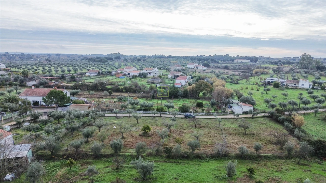 Terreno Agricola ou Rústico para Venda em Ladoeiro Foto 20