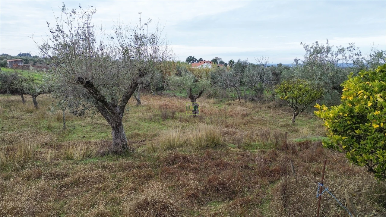 Terreno Agricola ou Rústico para Venda em Ladoeiro Foto 11