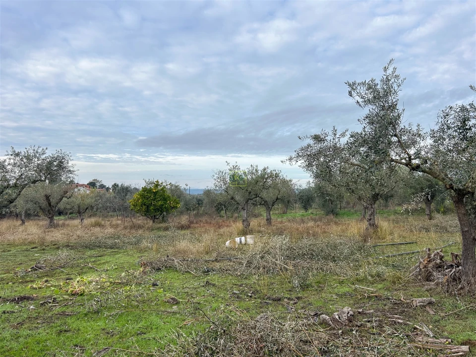 Terreno Agricola ou Rústico para Venda em Ladoeiro Foto 25