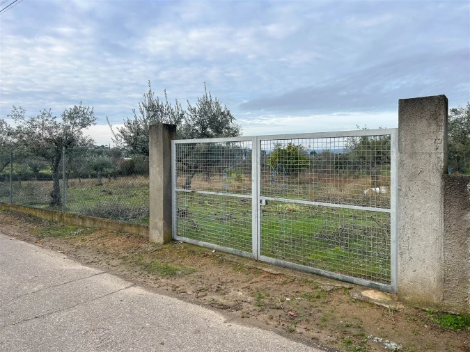Terreno Agricola ou Rústico para Venda em Ladoeiro Foto 23