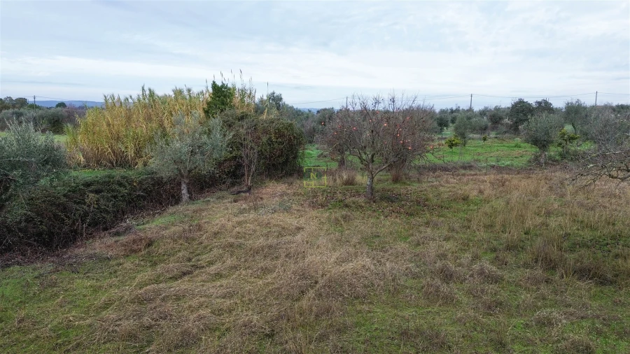 Terreno Agricola ou Rústico para Venda em Ladoeiro Foto 15