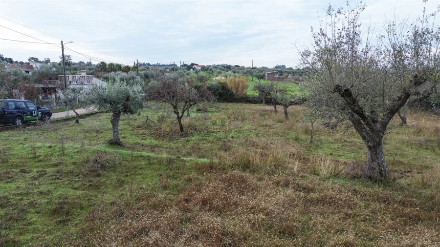 Terreno Agricola ou Rústico para Venda em Ladoeiro Foto 12