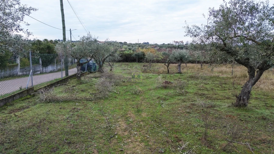 Terreno Agricola ou Rústico para Venda em Ladoeiro Foto 14
