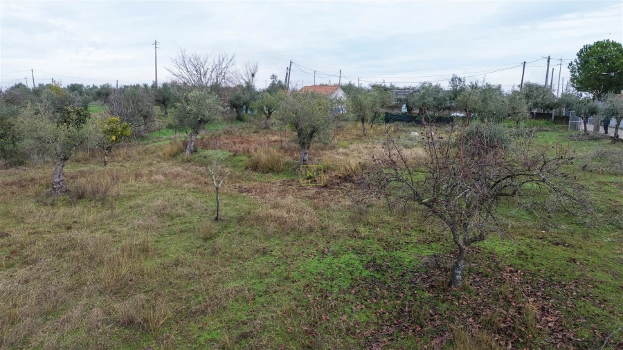 Terreno Agricola ou Rústico para Venda em Ladoeiro Foto 17