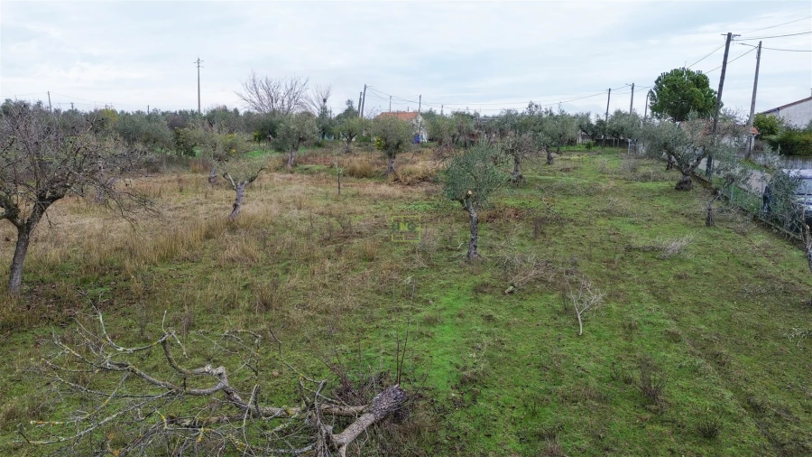 Terreno Agricola ou Rústico para Venda em Ladoeiro Foto 16