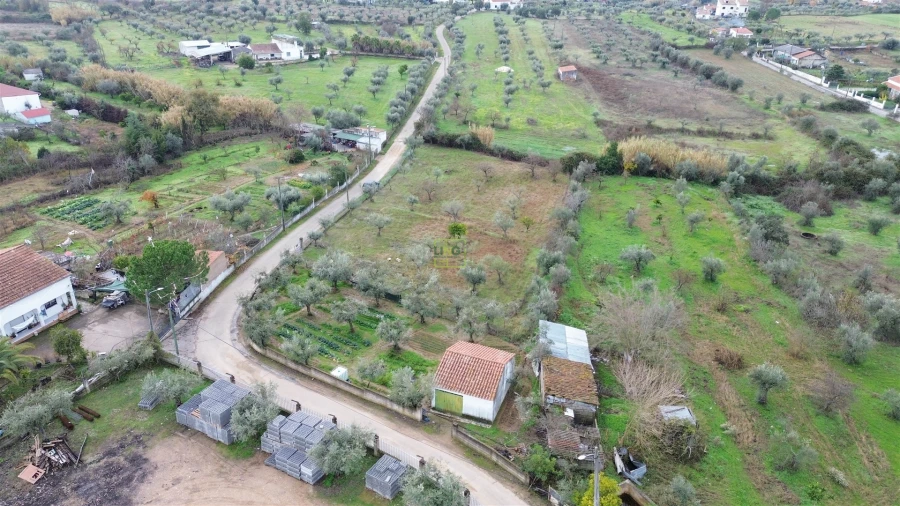 Terreno Agricola ou Rústico para Venda em Ladoeiro Foto 8