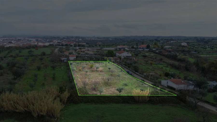 Terreno Agricola ou Rústico para Venda em Ladoeiro Foto 22