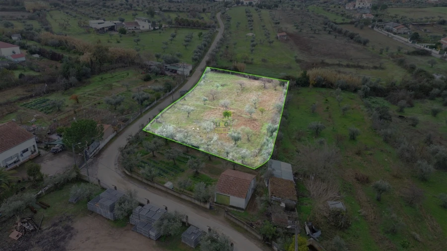 Terreno Agricola ou Rústico para Venda em Ladoeiro Foto 9
