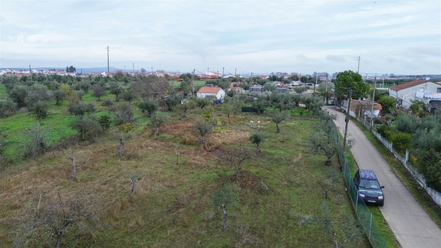 Terreno Agricola ou Rústico para Venda em Ladoeiro Foto 6
