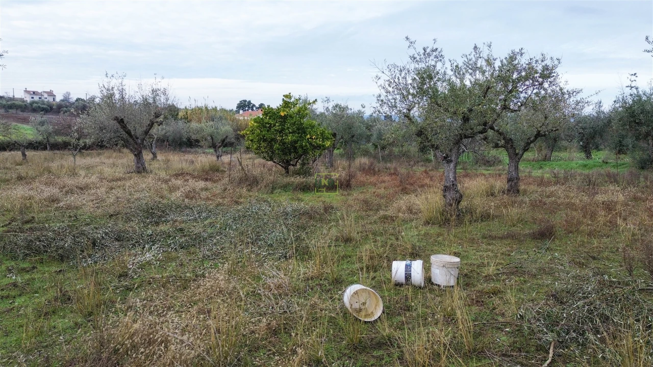 Terreno Agricola ou Rústico para Venda em Ladoeiro Foto 18