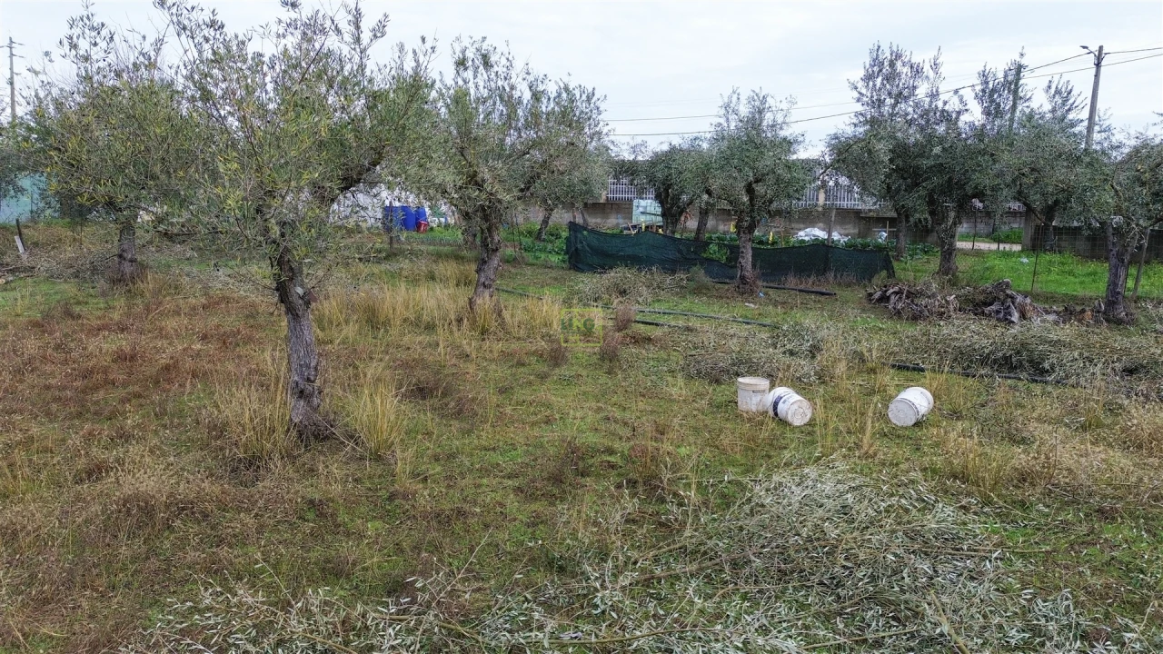 Terreno Agricola ou Rústico para Venda em Ladoeiro Foto 13