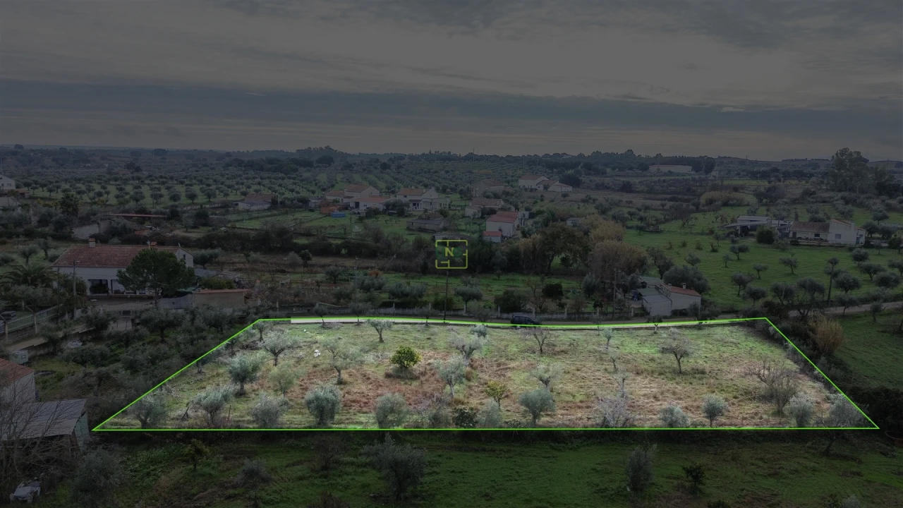 Terreno Agricola ou Rústico para Venda em Ladoeiro Foto 1