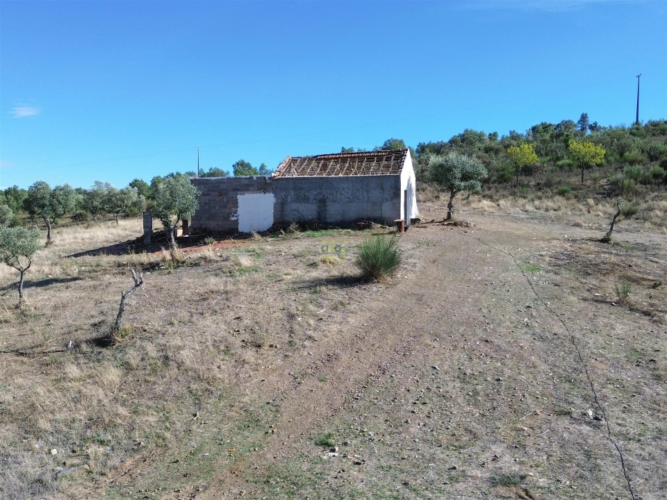 Quinta T0 para Venda em Aranhas Foto 2