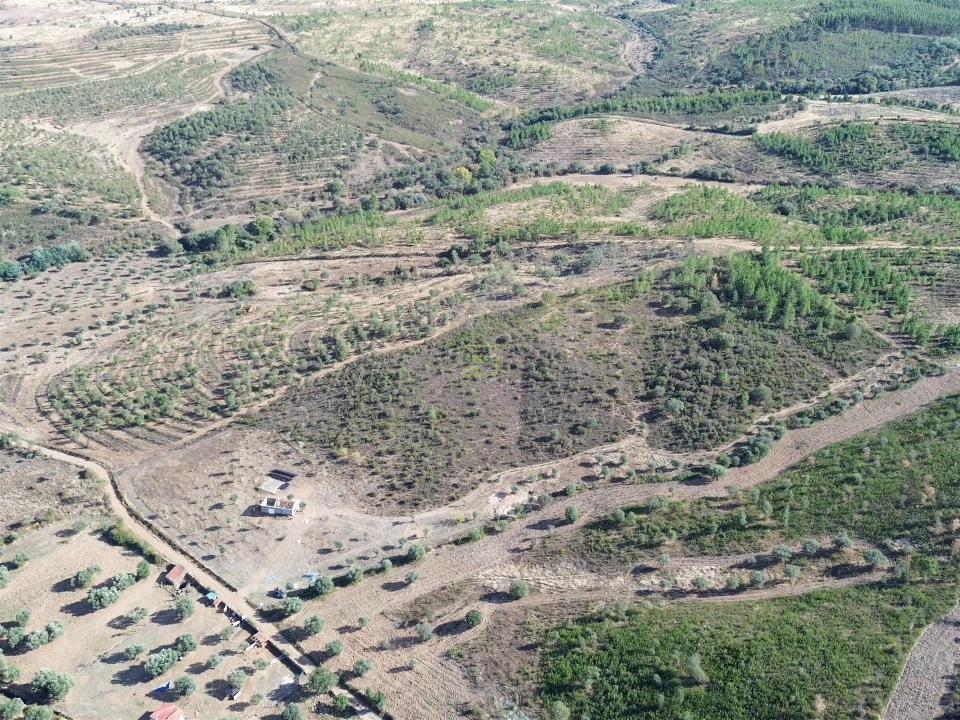 Quinta T0 para Venda em Aranhas Foto 6