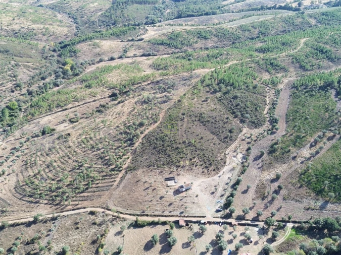 Quinta T0 para Venda em Aranhas Foto 8