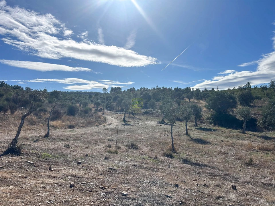 Quinta T0 para Venda em Aranhas Foto 24