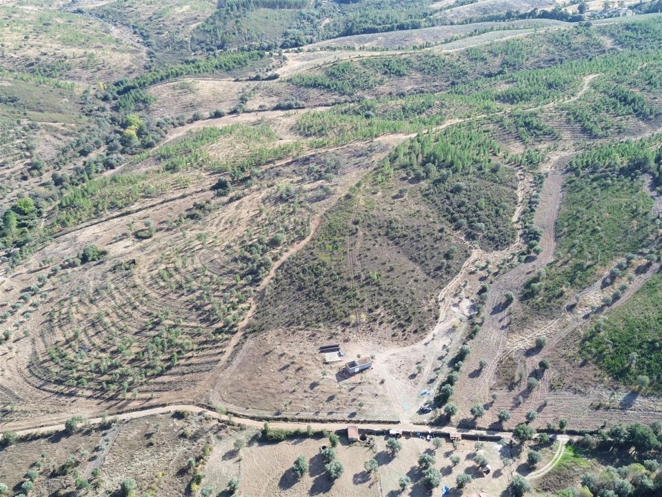 Quinta T0 para Venda em Aranhas Foto 8