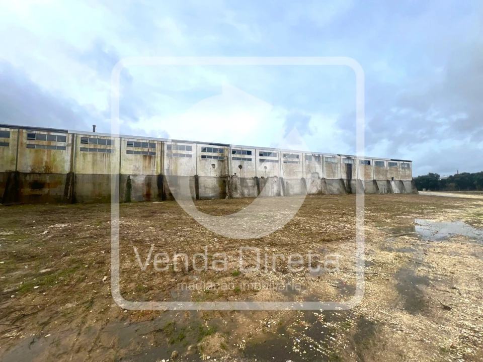 Armazém para Venda em Torres Novas (Santa Maria, Salvador e Santiago) Foto 5