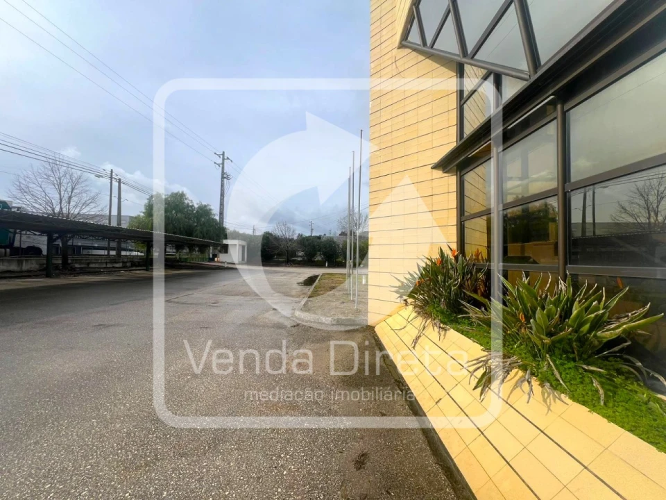 Armazém para Venda em Torres Novas (Santa Maria, Salvador e Santiago) Foto 29