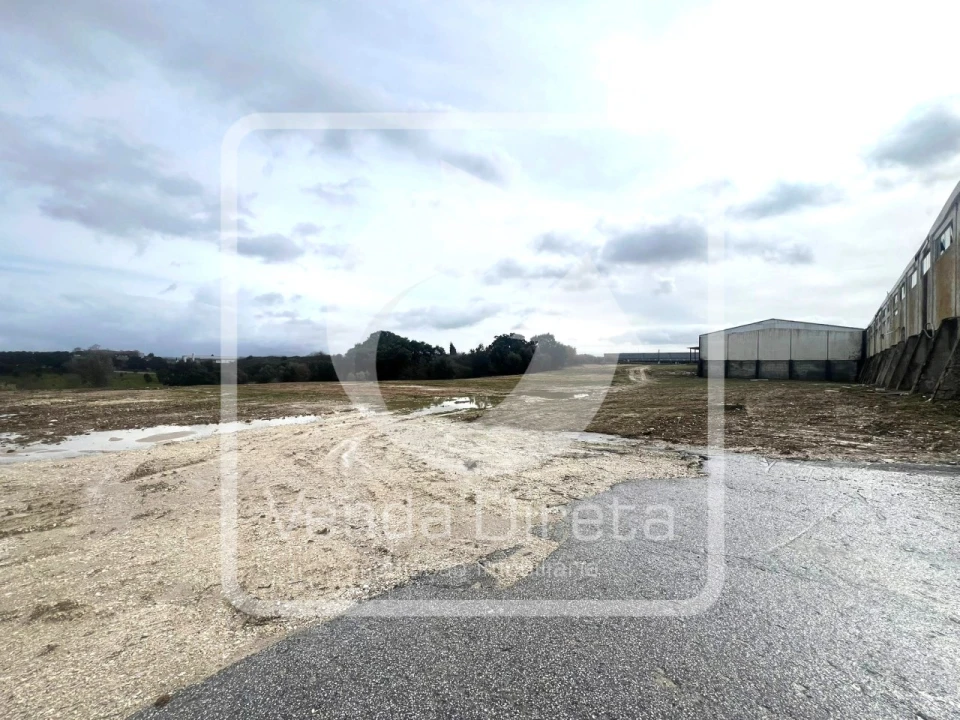 Armazém para Venda em Torres Novas (Santa Maria, Salvador e Santiago) Foto 37