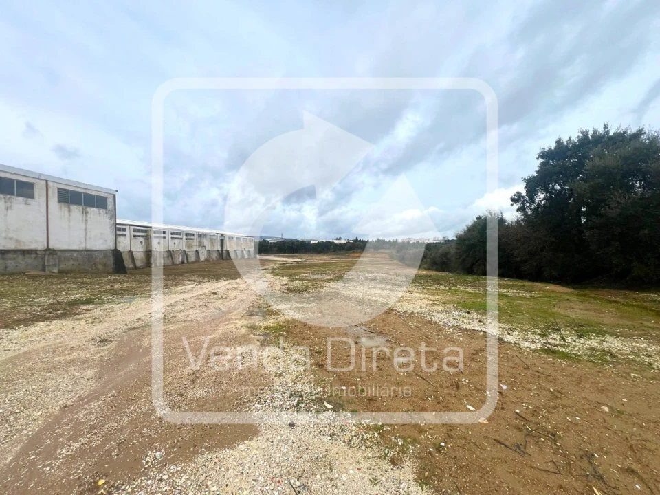 Armazém para Venda em Torres Novas (Santa Maria, Salvador e Santiago) Foto 41