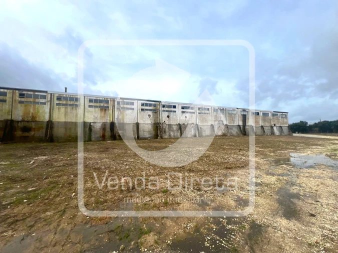 Armazém para Venda em Torres Novas (Santa Maria, Salvador e Santiago) Foto 5