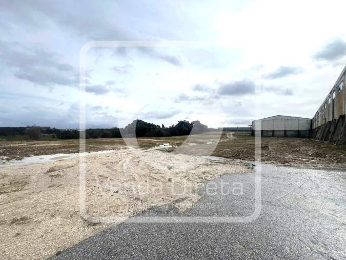 Armazém para Venda em Torres Novas (Santa Maria, Salvador e Santiago) Foto 37