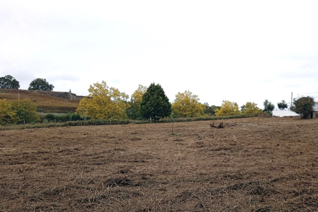 Terreno para Venda em Vila Nova de Cerveira e Lovelhe Foto 3