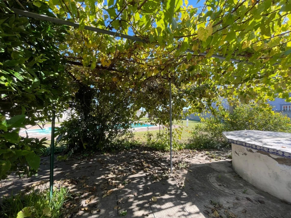 Moradia T2 para Venda em Monte Foto 28