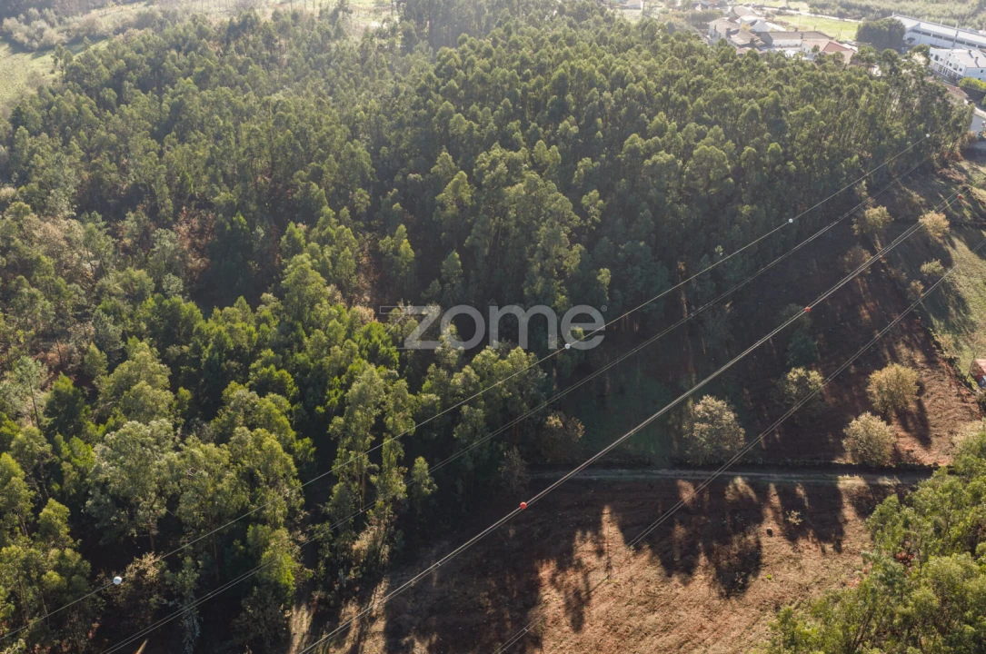 Terreno para Venda em Carvalhosa Foto 3