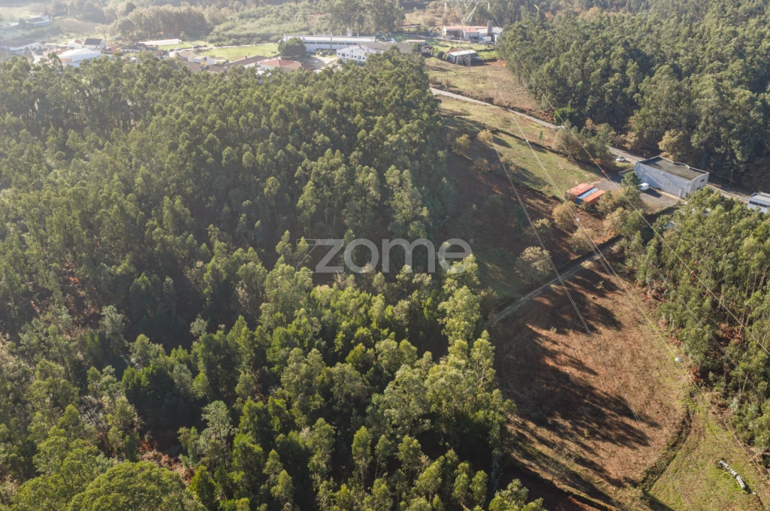 Terreno para Venda em Carvalhosa Foto 4