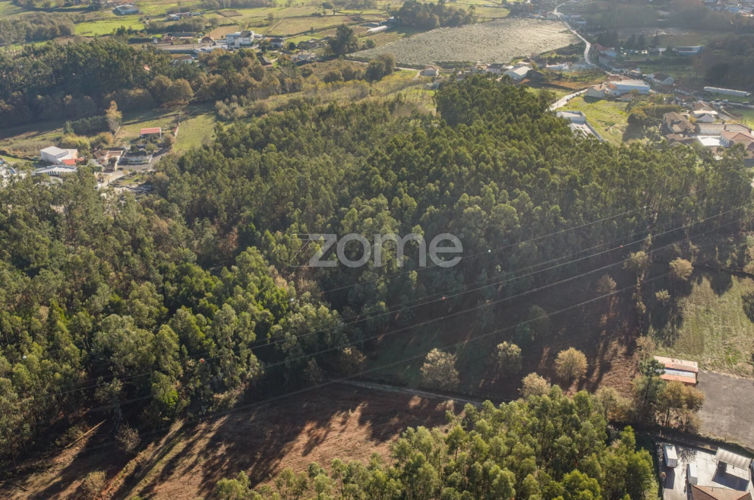 Terreno para Venda em Carvalhosa Foto 5