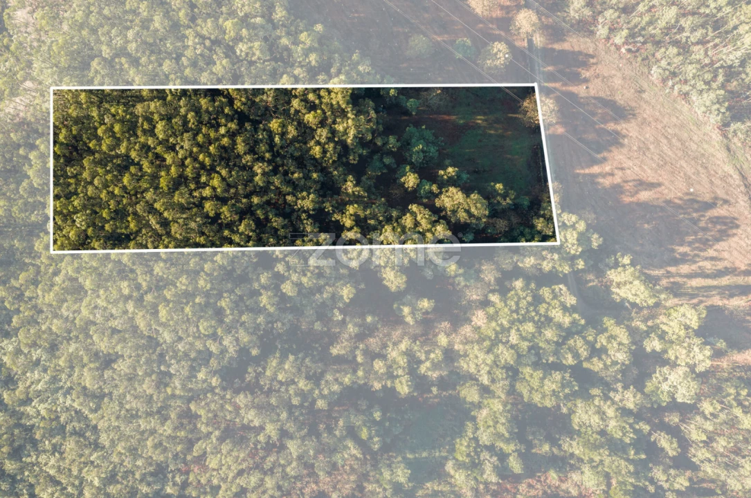 Terreno para Venda em Carvalhosa Foto 2