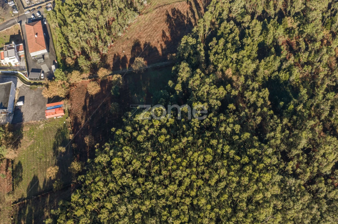 Terreno para Venda em Carvalhosa Foto 10