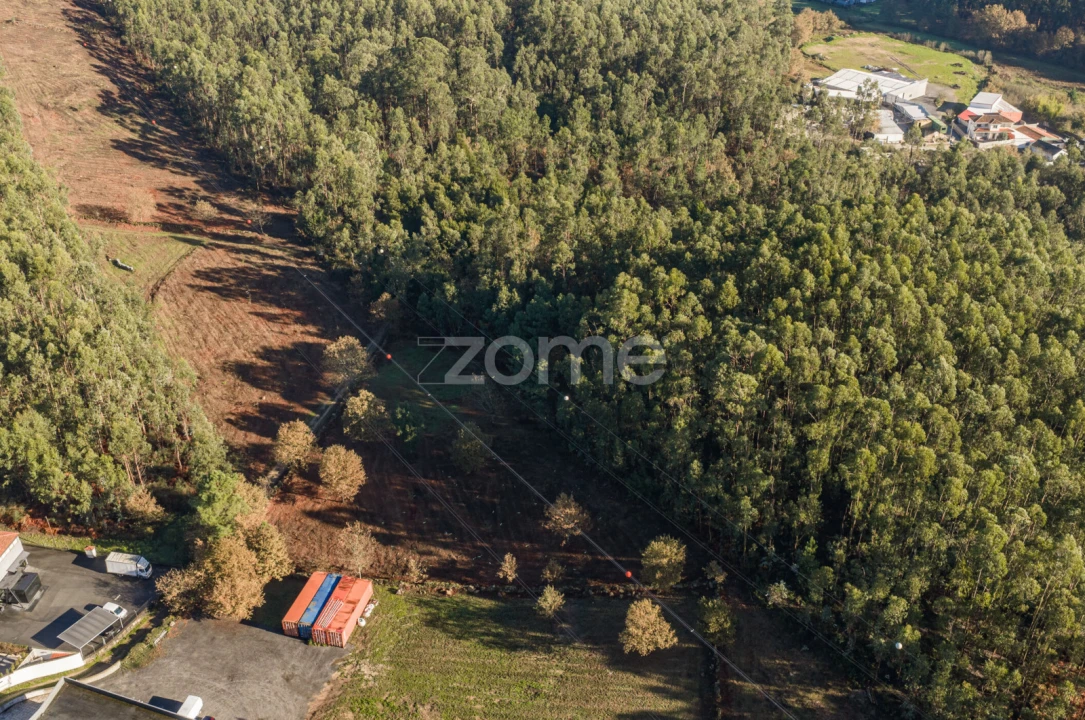 Terreno para Venda em Carvalhosa Foto 11