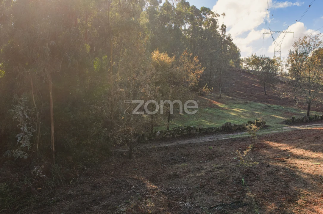 Terreno para Venda em Carvalhosa Foto 13